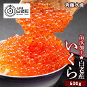 【ふるさと納税】 前浜加工☆白老産いくら 500g <斉藤水産> いくら イクラ 魚卵 海産物 北海道ふるさと納税 白老 ふるさと納税 北海道 【AM032】