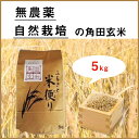 【ふるさと納税】北海道厚真町産 無農薬・自然栽培米 角田玄米...