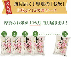 【ふるさと納税】毎月届く定期便「厚真のお米」10kg