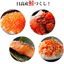 【ふるさと納税】北海道日高産鮭づくし!海の幸セット 【魚貝類/いくら/秋鮭】
