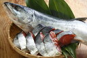【ふるさと納税】北海道浦河前浜産 特選 新巻鮭(中) 丸ごと...