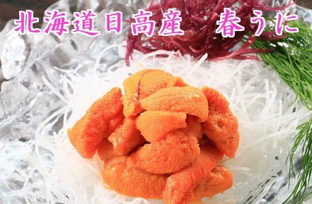 【ふるさと納税】北海道日高産「春うに(塩水バフンウニ)」100g×1パック【ご家庭用】＜予約＞[B02-285]