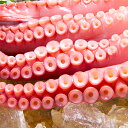 【ふるさと納税】【やわらか】煮たこ(約1.8kg) | 北海...