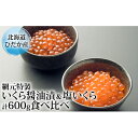 【ふるさと納税】北海道ひだか産網元特製【いくら醤油漬&塩いくら】計600g食べ比べ 【いくら・魚卵・魚貝類・加工食品】