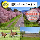 【ふるさと納税】北海道新ひだか町の対象施設で使える楽天トラベルクーポン寄付額1,000,000円