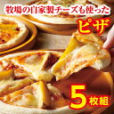 【ふるさと納税】A31-3 ハッピネスピザ5枚組