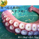【ふるさと納税】食べ応え抜群!大タコ足(一本)約1.0kg〜...