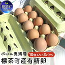 【ふるさと納税】ポロニ養鶏場 標茶町産有精卵10個×3パック 【卵】 お届け:2020年3月1日~7月31日まで