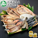【ふるさと納税】 北海道産直 ふっくらやわらか 干物 9点セ...