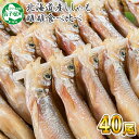 【ふるさと納税】ししゃも 雌雄 食べ比べ セット 40尾 北...