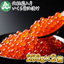【ふるさと納税】いくら醤油 250g×2個 北海道産 いくら...