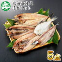 【ふるさと納税】 北海道産直 ふっくらやわらか 干物 5点セ...