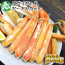 【ふるさと納税】 ズワイ蟹足ビードロ800g ボイルズワイガ...