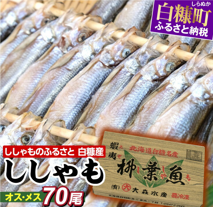 【ふるさと納税】しらぬか産ししゃも【オスメス70尾】 今なら「鮭とばイチロー100g」プレゼント