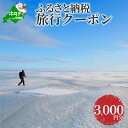【ふるさと納税】【北海道別海町】ふるさと納税旅行クーポン(3,000円分)