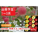 【ふるさと納税】1~3月リンゴのふくさわ 最高等級「特選大玉」3種詰め合わせ約5kg(サンふじ・金星・王林)【弘前市産・青森りんご】 【果物類・林檎・りんご・リンゴ】 お届け:2021年1月6日~2021年3月31日