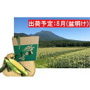 【ふるさと納税】8月 朝採り嶽きみ20本【弘前市嶽高原産・とうもろこし】 【野菜・とうもろこし】 お届け:2021年8月18日~2021年8月31日