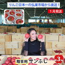 【ふるさと納税】【1月発送】贈答用 サンふじ 約3kg【弘前市産・青森りんご】 【 果物 フルーツ デザート 食後 青森県産 産地直送 贈り物 】 お届け:2023年1月10日~2023年1月28日