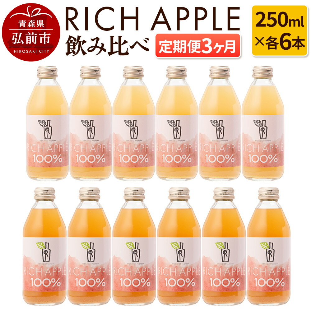 【ふるさと納税】【レビューキャンペーン】【定期便3ヶ月】RICH APPLE 飲み比べ りんごジュース12本セット（250ml×12本×3回）【飲料類 果汁飲料】