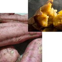 【ふるさと納税】五所川原市産 安納芋約10kg 【野菜・サ...