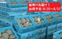 【ふるさと納税】盆明 津軽産 青肉メロンご家庭用約5kg4〜...