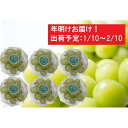 【ふるさと納税】年明け 津軽産 徳用シャインマスカット約1....