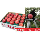 【ふるさと納税】11月 土岐りんご園 サンふじ約5kg秀 五...