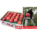 【ふるさと納税】12月 土岐りんご園 サンふじ約5kg秀 五...