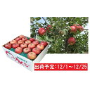【ふるさと納税】12月 土岐りんご園 家庭用サンふじ約10k...