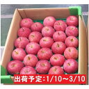 【ふるさと納税】【年明け】津軽産まるかじりりんご約5kg 特...
