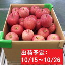 【ふるさと納税】【年内】津軽産不揃い家庭用りんご約10kg ...