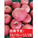 【ふるさと納税】【年内】津軽産「家庭用」りんご見た目より味約...