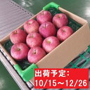 【ふるさと納税】【年内】津軽産りんご6kg(3kg×2箱)ご...