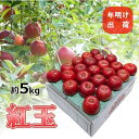 【ふるさと納税】4~5月 りんご 5kg 青森産 紅玉 スマートフレッシュ貯蔵 【果物類・林檎・りんご・リンゴ・紅玉】 お届け:2021年4月1日~2021年5月31日