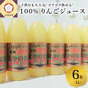【ふるさと納税】青森県産完熟100% りんごジュース 1L×...