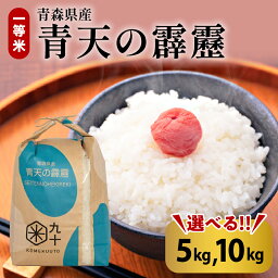 【ふるさと納税】米 <strong>青天の霹靂</strong> 5kg または 10kg 令和5年産 青森県産 特A 取得歴有 一等米【PEBORA】 出荷直前に精米！8年連続 特A 取得品種 一等米 青森 五所川原 国産 晴天の霹靂 ブランド米 贈答 秋 冬 旬 お米 コメ こめ ごはん 精米 白米 ご飯 東北 ふるさと