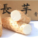 【ふるさと納税】青森県三沢市産 雪下で熟成した甘みと粘りの強い「旬のながいも」5kg【1121948】