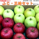 【ふるさと納税】〔青森県産りんご〕白神のふもと『風丸農場』青...
