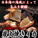 【ふるさと納税】青森県鰺ヶ沢町 炭火焼きイカ 3パックセット...