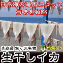 【ふるさと納税】青森県鰺ヶ沢町 生干しイカ 8枚セット ※お...