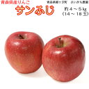 【ふるさと納税】〔青森県産りんご〕青森県鰺ヶ沢町 さいきち農...