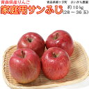 【ふるさと納税】〔青森県産りんご〕青森県鰺ヶ沢町 さいきち農...