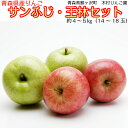 【ふるさと納税】〔青森県産りんご〕青森県鰺ヶ沢町 木村りんご...
