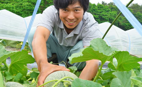 【ふるさと納税】青森県　鰺ヶ沢町　糖度16度以上保証!!甘さにこだわった減農薬栽培メロン1玉（品種はお任せください）2018年7月下旬〜8月中旬発送予定