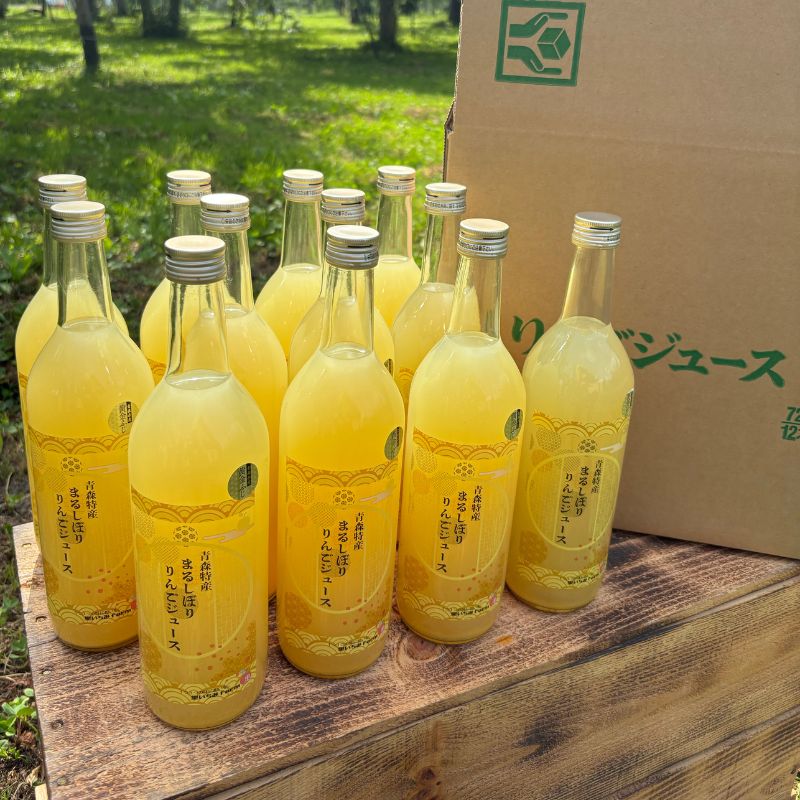 【ふるさと納税】低温熟成りんごジュース 1箱(720ml×12本)