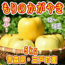 【ふるさと納税】希少!りんご「もりのかがやき」 12〜16玉...