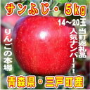 【ふるさと納税】りんご「サンふじ」14〜20玉 約5kg【1...