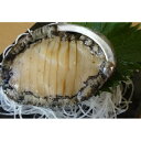 【ふるさと納税】三陸産 蝦夷あわびのお刺身(殻付き)1個 【魚介類・あわび・アワビ・鮑】