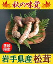 【ふるさと納税】 岩手県産 天然 松茸 ミックスサイズ(家庭...
