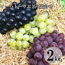 【ふるさと納税】岩手花巻産イーハトーヴぶどう詰合せ2kgセッ...